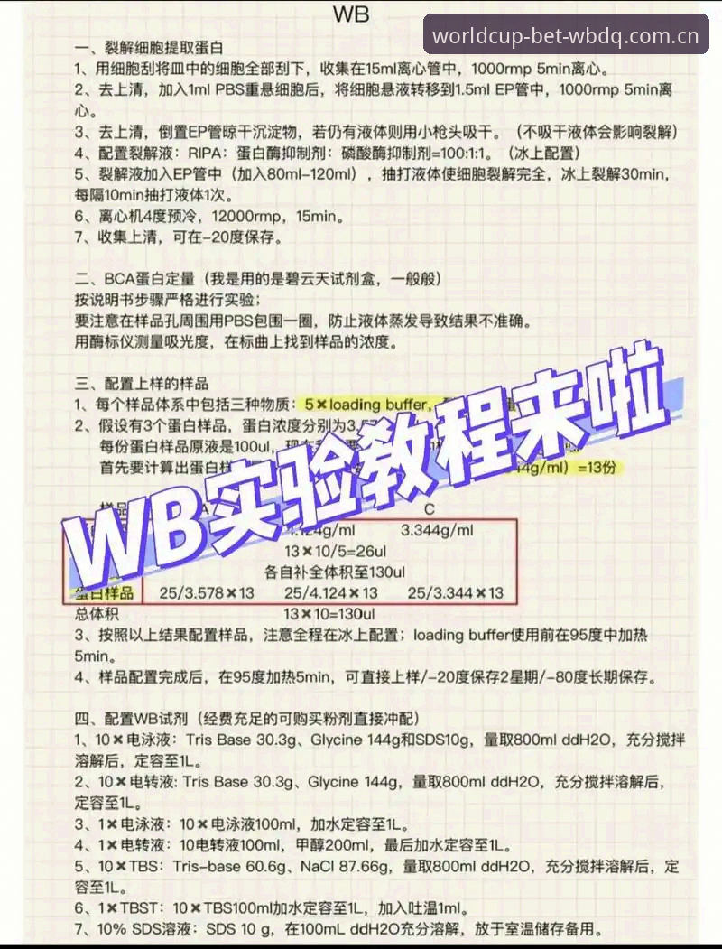 揭秘WBDQ安卓版安装教程：从下载到投注的完整技术测评